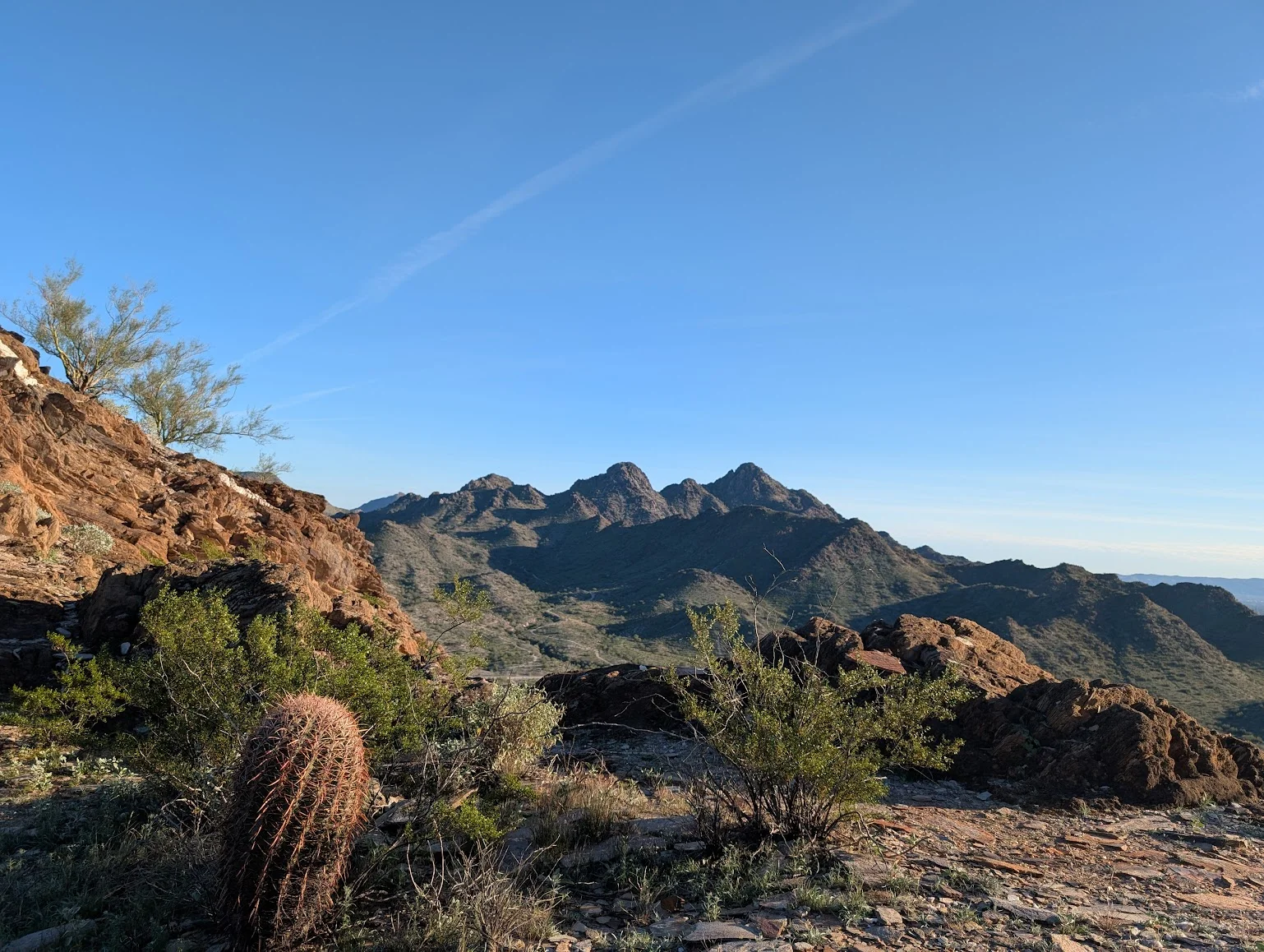 Arizona mountain vista at golden hour with barrel cactus in foreground and Sonoran Desert mountain range in background